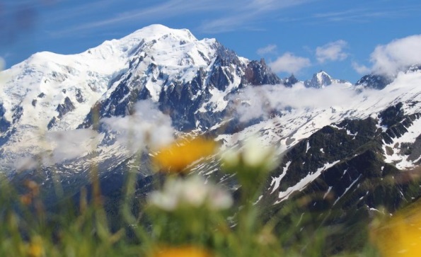 Courmayeur – Incontro ad Arvier: Clima e biodiversità, intrecci fragili in alta quota. Appuntamento il 18 giugno